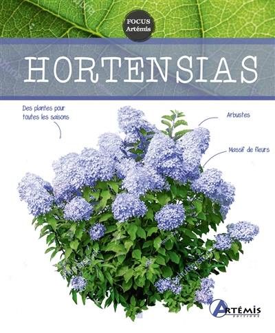 Hortensias