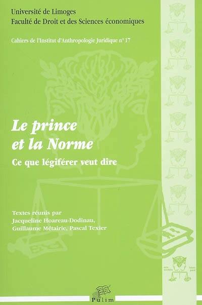 Le prince et la norme : ce que légiférer veut dire