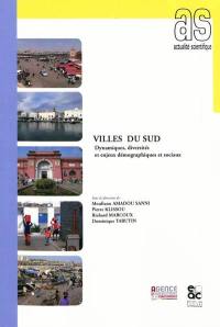 Villes du Sud : dynamiques, diversités et enjeux démographiques et sociaux