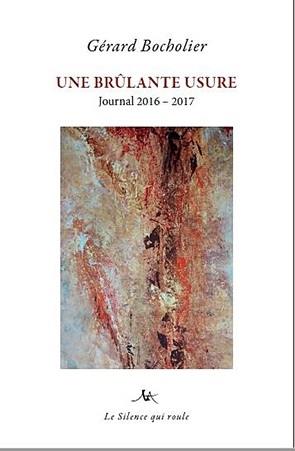 Une brûlante usure : journal 2016-2017