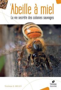 L'abeille à miel : la vie secrète des colonies sauvages