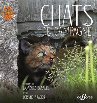 Chats de campagne