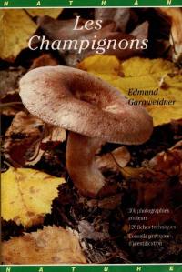 Les champignons