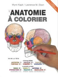 L'anatomie à colorier