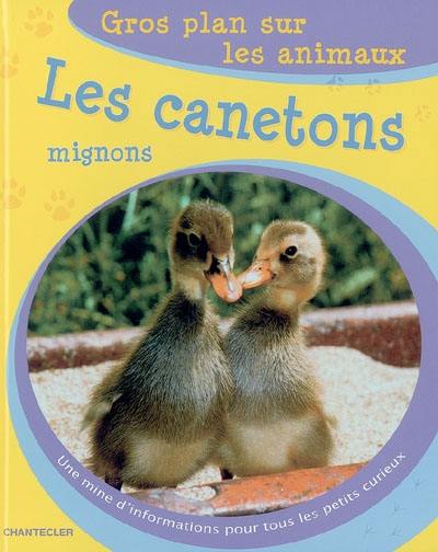 Les canetons mignons