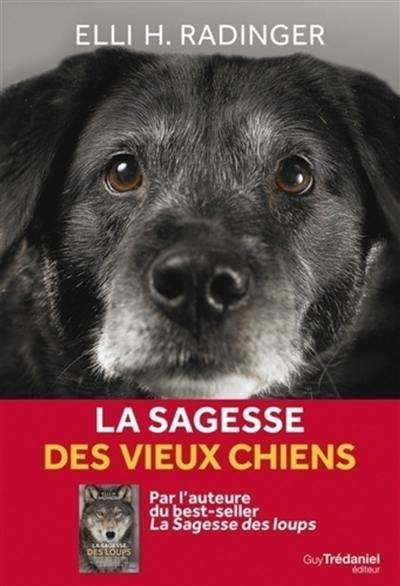 La sagesse des vieux chiens : tout ce que le meilleur ami de l'homme peut nous apprendre de la vie