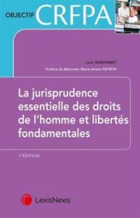 Les arrêts essentiels en droit des libertés fondamentales