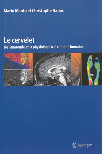 Le cervelet : de l'anatomie et la physiologie à la clinique humaine