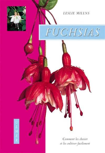 Fuchsias