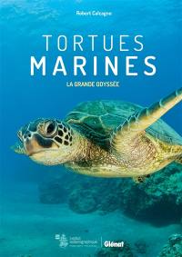 Tortues marines : la grande odyssée