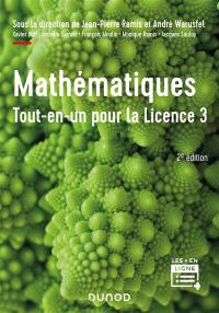 Mathématiques, tout-en-un pour la licence 3