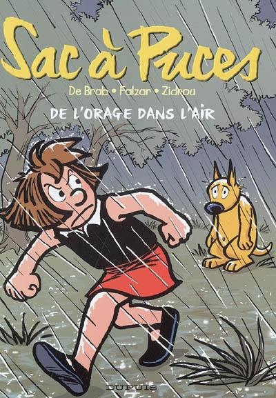 Sac à puces. Vol. 7. De l'orage dans l'air