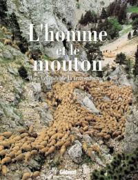 L'Homme et le mouton : dans l'espace de la transhumance