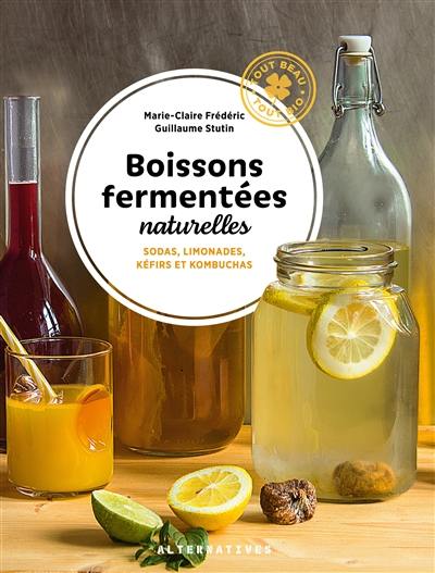 Boissons fermentées naturelles : sodas, limonades, kéfirs et kombuchas