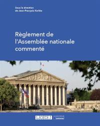 Règlement de l'Assemblée nationale commenté