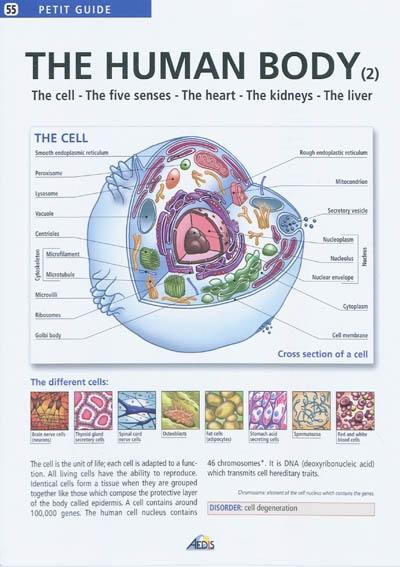 The human body. Vol. 2. The cell, the five senses, the heart, the kidneys, the liver