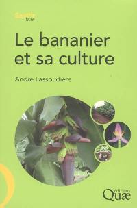 Le bananier et sa culture