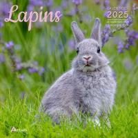 Lapins : calendrier 2025 : de septembre 2024 à décembre 2025