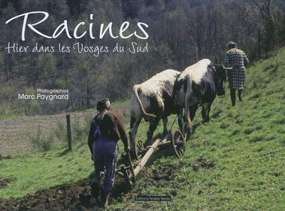 Racines : hier dans les Vosges du Sud