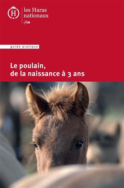 Le poulain, de la naissance à 3 ans