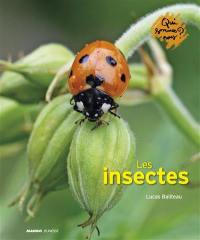 Les insectes