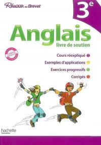 Anglais 3e : livre de soutien