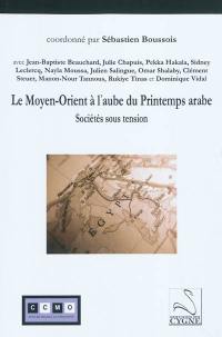 Le Moyen-Orient à l'aube du printemps arabe : sociétés sous tension