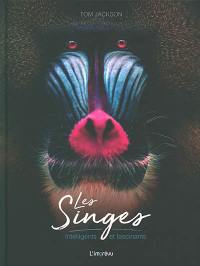 Les singes : intelligents et fascinants