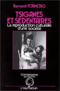 Tsiganes et sédentaires : la reproduction culturelle d'une société