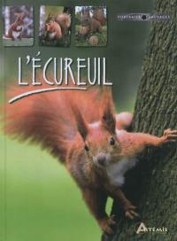 L'écureuil