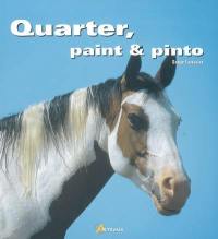 Quarter, paint & pinto