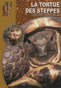 Tortue des steppes : Testudo horsfieldii