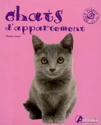 Chats d'appartement