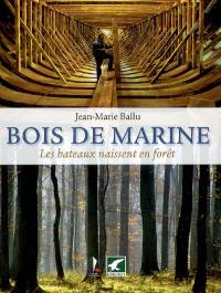 Bois de marine : les bateaux naissent en forêt