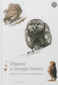 Oiseaux du bocage breton