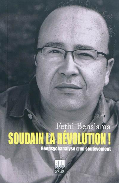 Soudain la révolution ! : géopsychanalyse d'un soulèvement