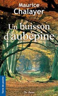 Un buisson d'aubépine