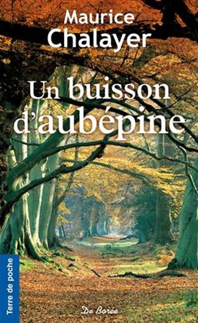 Un buisson d'aubépine