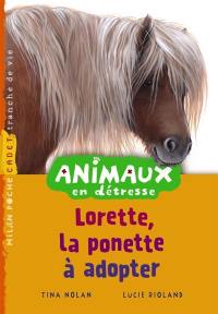 Animaux en détresse. Lorette, le poney à adopter