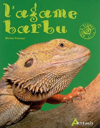 L'agame barbu