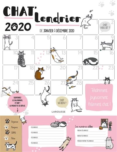 Chat'lendrier 2020 : de janvier à décembre 2020