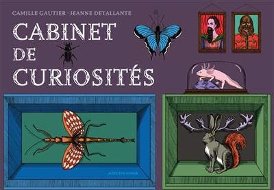 Cabinet de curiosités