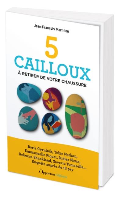 5 cailloux à retirer de votre chaussure : Boris Cyrulnik, Tobie Nathan, Emmanuelle Piquet, Didier Pleux, Rebecca Shankland, Saverio Tomasella... : enquête auprès de 18 psy