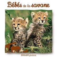 Bébés de la savane