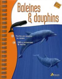 Baleines & dauphins