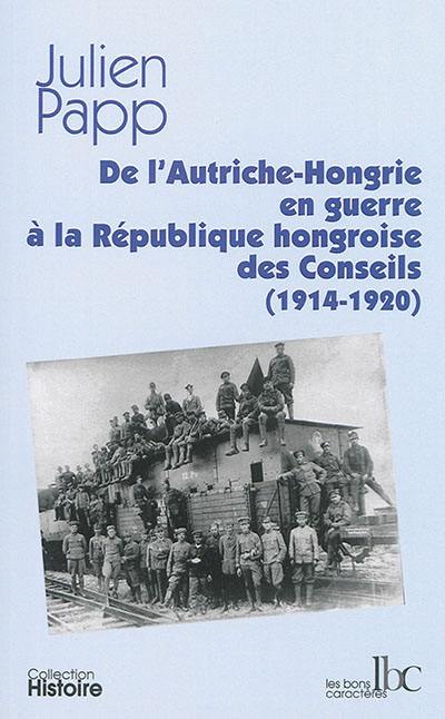 De l'Autriche-Hongrie en guerre à la République hongroise des Conseils (1914-1920)