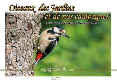 Oiseaux des jardins et de nos campagnes