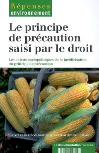 Le principe de précaution saisi par le droit : les enjeux sociopolitiques de la juridicisation du principe de précaution