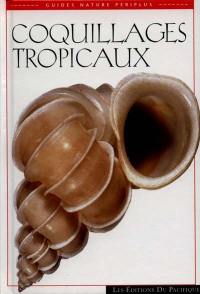 Coquillages tropicaux