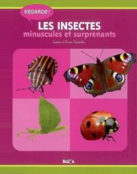 Les insectes minuscules et surprenants